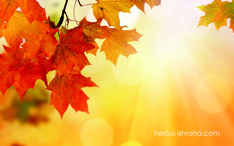 povezite-se-sa-sobom---herbalife-ishrana